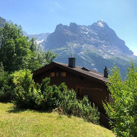 Apartment Chalet Sunneblick By Interhome Grindelwald Zewnętrze zdjęcie