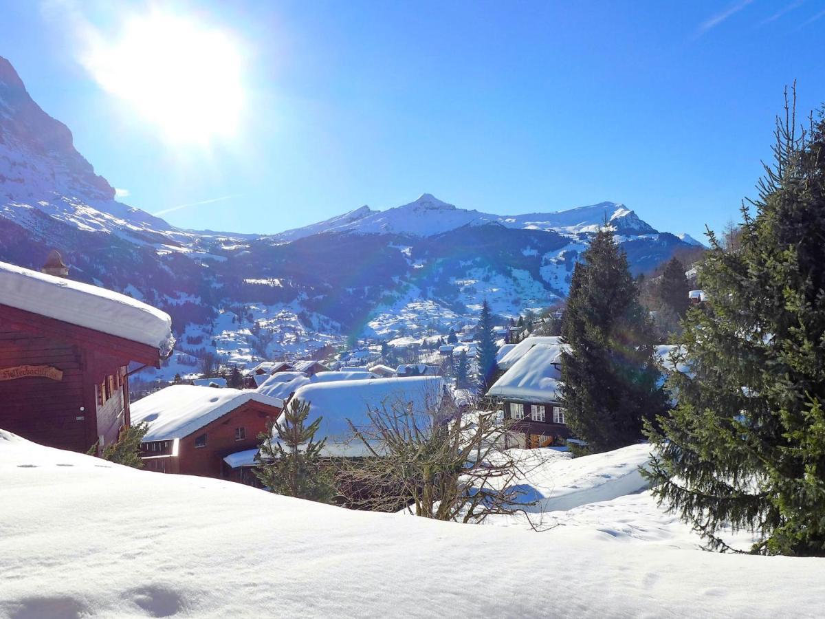 Apartment Chalet Sunneblick By Interhome Grindelwald Zewnętrze zdjęcie