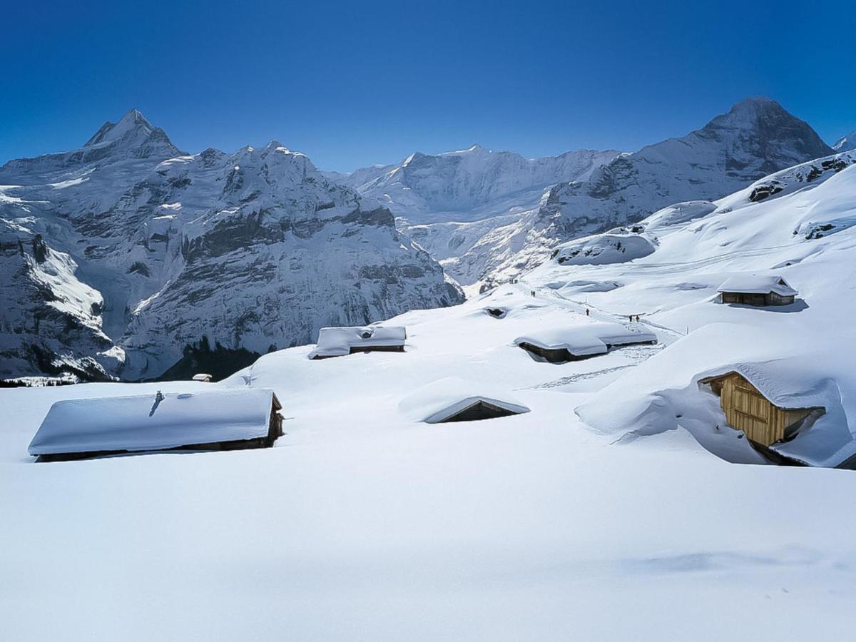 Apartment Chalet Sunneblick By Interhome Grindelwald Zewnętrze zdjęcie