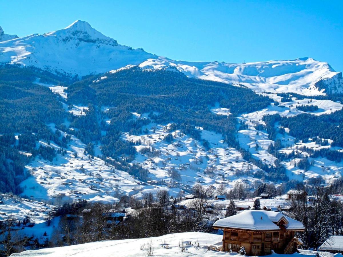Apartment Chalet Sunneblick By Interhome Grindelwald Zewnętrze zdjęcie