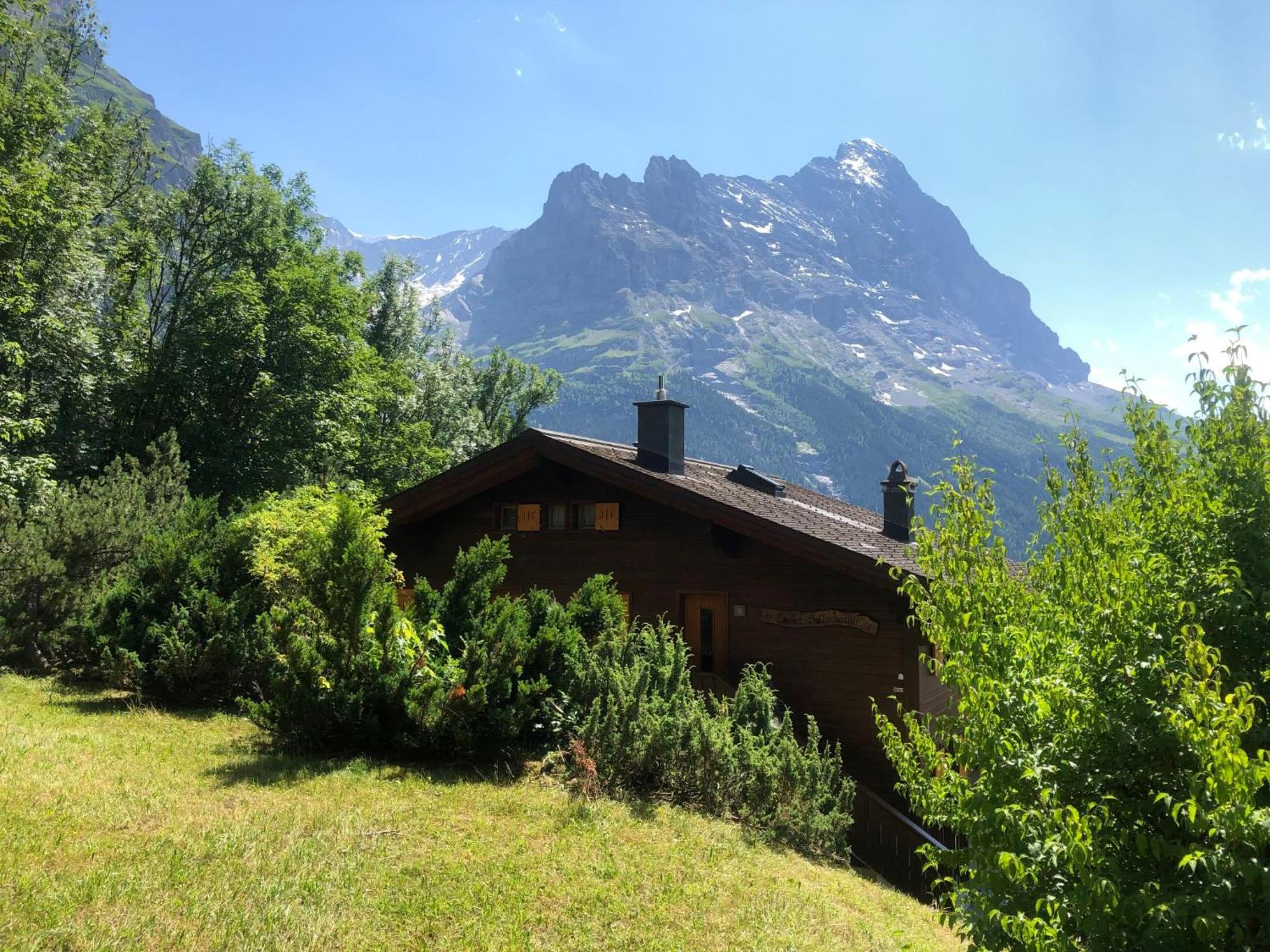 Apartment Chalet Sunneblick By Interhome Grindelwald Zewnętrze zdjęcie