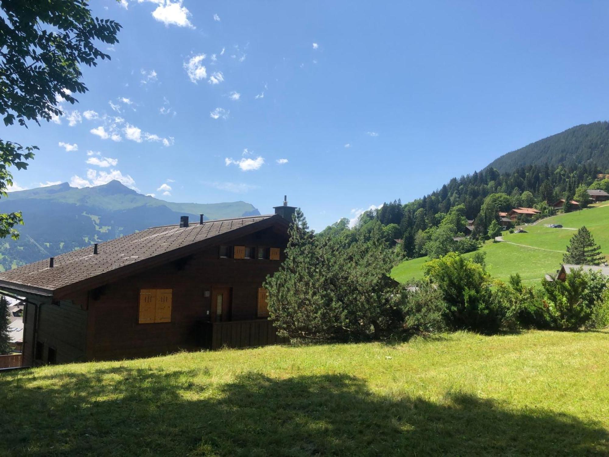 Apartment Chalet Sunneblick By Interhome Grindelwald Zewnętrze zdjęcie